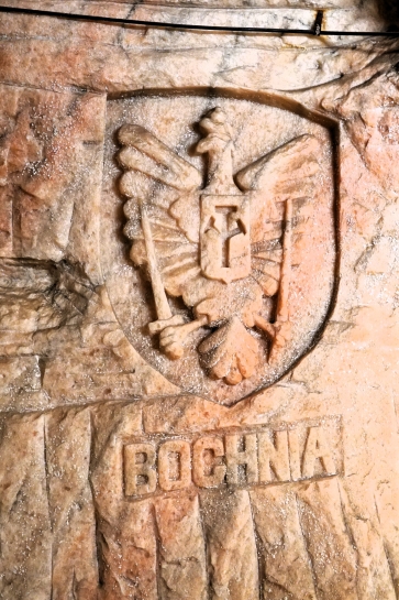 WYCIECZKA DO KOPALNI SOLI W K�ODAWIE I ZAMKU W ��CZYCY