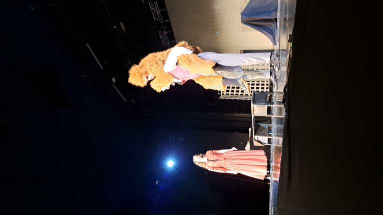 FRANKENSTEIN – THE MONSTER AND THE MYTH SPEKTAKL W TEATRZE V6 W �ODZI