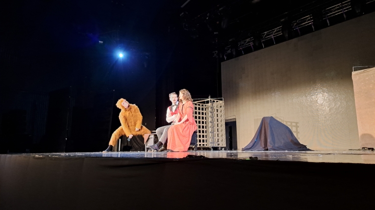 FRANKENSTEIN – THE MONSTER AND THE MYTH SPEKTAKL W TEATRZE V6 W �ODZI