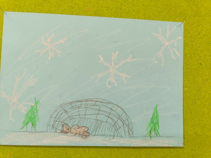 ZIMOWE ZMIANY W PRZYRODZIE&nbsp;